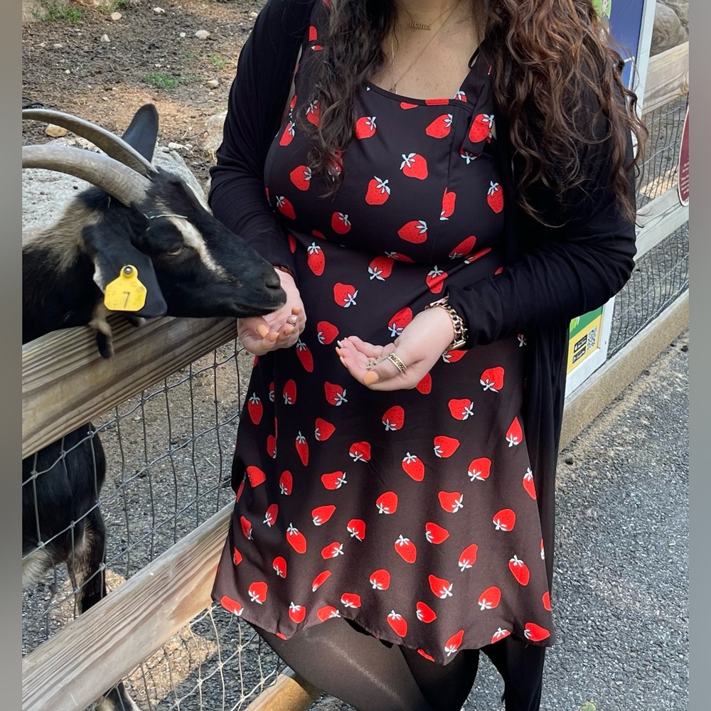 Black and Red Strawberry Print Dress